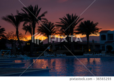 An exciting sunset in a tropical country. pool An exciting sunset in a tropical country. pool 36565293