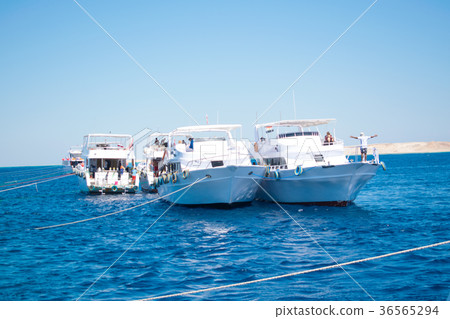 Two white luxury yachts in a picturesque bay with Two white luxury yachts in a picturesque bay with 36565294