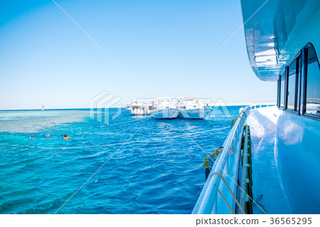 Two white luxury yachts in a picturesque bay with Two white luxury yachts in a picturesque bay with 36565295
