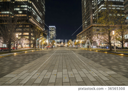 東京站Wakui-dori夜視圖 36565308