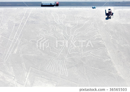 Nazca lines from the aircraft 36565503