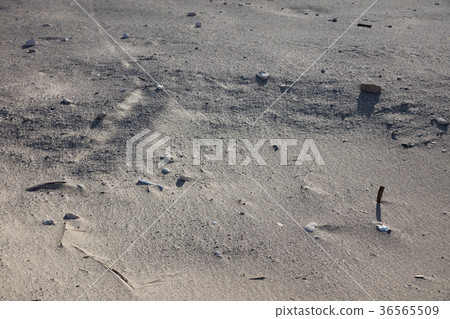 Chauchilla necropolis Chauchilla necropolis 36565509