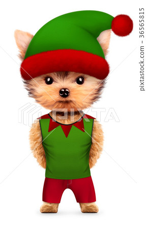 Funny Dog Santa's elf with hat. Christmas concept 36565815
