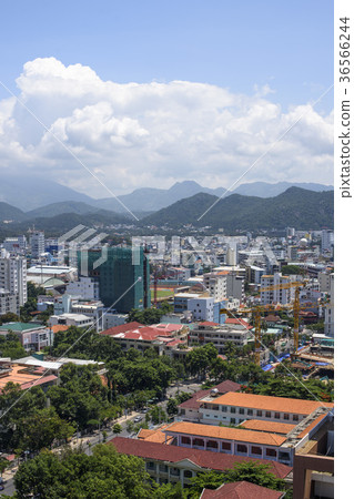 越南/芽莊 36566244