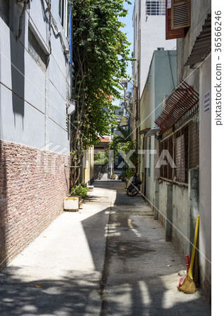 越南/芽莊 36566246