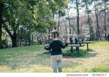 park, parks, outside 36566557