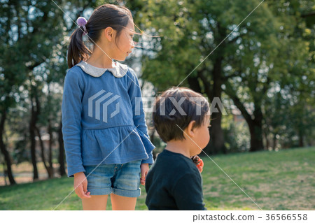 older sister and younger brother, child, whelp 36566558