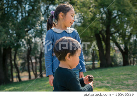 older sister and younger brother, child, whelp 36566559