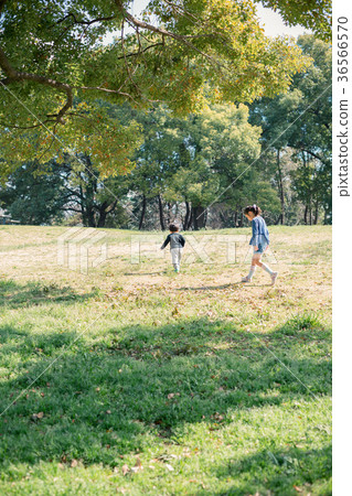 公園 姐姐和弟弟 兒童 36566570
