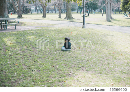 child, kid, park 36566600