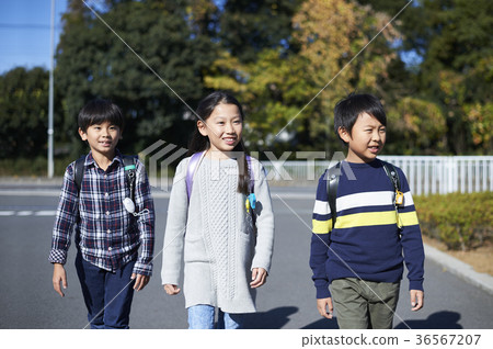 primary school primary school 36567207