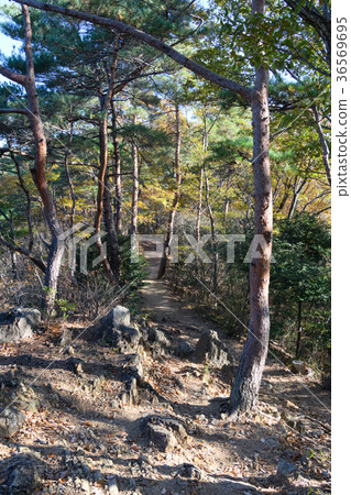 遠足懸崖山遠足徑 遠足懸崖山遠足徑 36569695