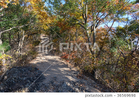 Hike Cliff Mountain hiking trail Hike Cliff Mountain hiking trail 36569698