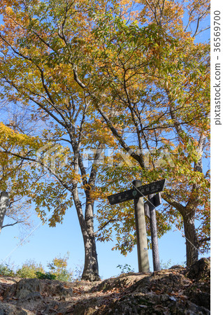 遠足懸崖山遠足徑 36569700