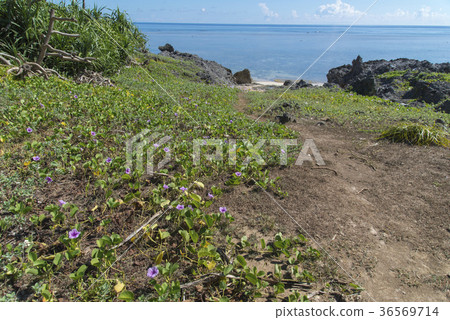 Gun by Hirgao and the beach of Toka Wakaba 36569714