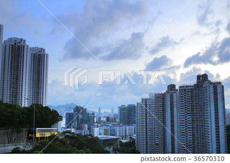 lam tin hk at 2016 36570310