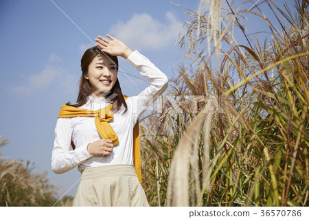 Woman, autumn, park 36570786