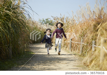 男孩,女孩,兄弟和姐妹,公園 男孩,女孩,兄弟和姐妹,公園 36570816