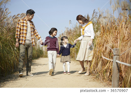 爸爸，媽媽，兒子，女兒，家庭，公園 36570907