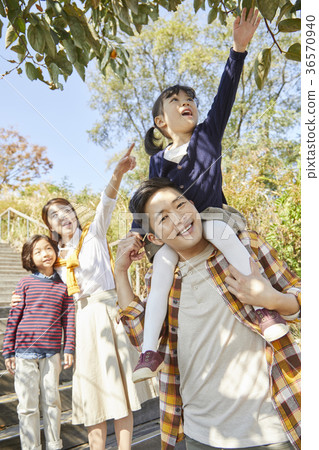 爸爸,媽媽,兒子,女兒,家庭,公園 爸爸,媽媽,兒子,女兒,家庭,公園 36570940