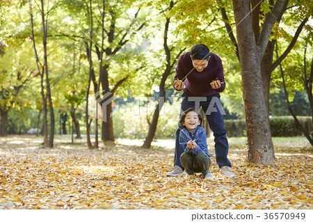 爸爸,兒子,家庭,公園,秋天 爸爸,兒子,家庭,公園,秋天 36570949