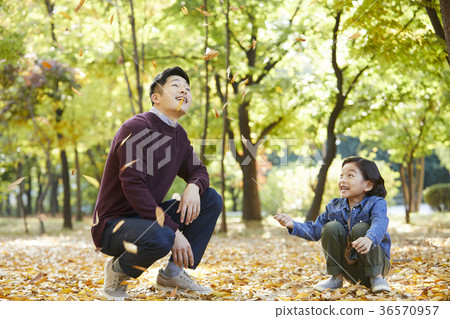 Dad, son, family, park, autumn 36570957