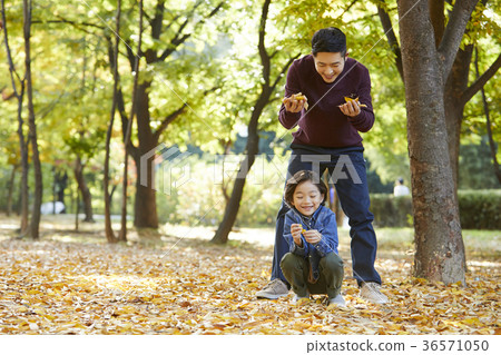 Dad, son, family, park, autumn 36571050