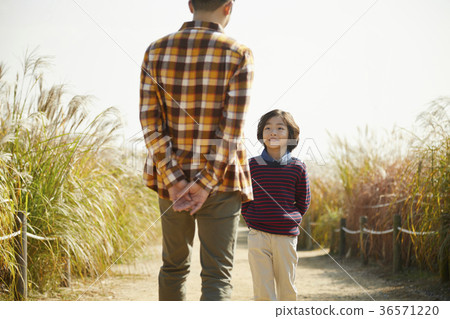 爸爸,兒子,家庭,公園,秋天 爸爸,兒子,家庭,公園,秋天 36571220