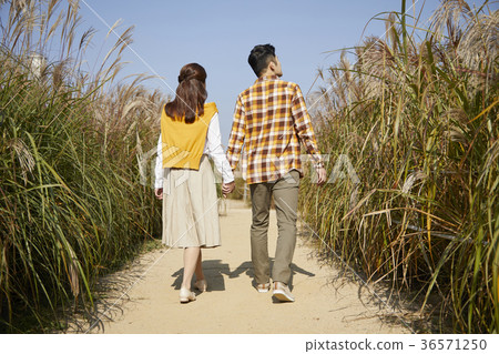 夫婦,情侶,公園 夫婦,情侶,公園 36571250