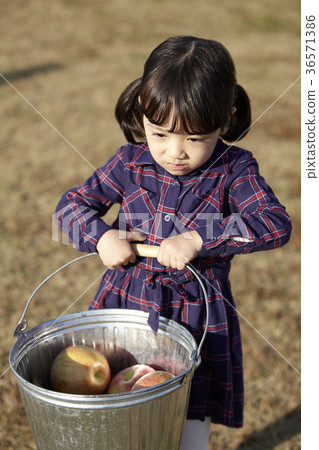 Girl, Child, Park 36571386