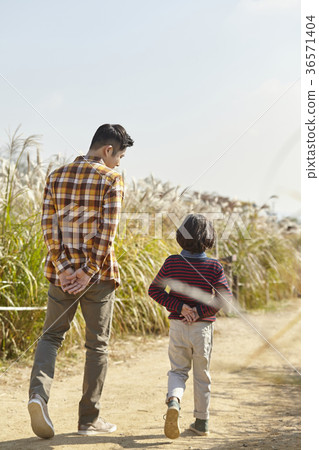 爸爸，兒子，家庭，公園，秋天 36571404