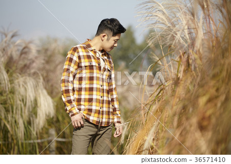 Man, autumn, park Man, autumn, park 36571410