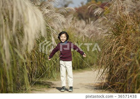 男孩,孩子,公園 男孩,孩子,公園 36571438