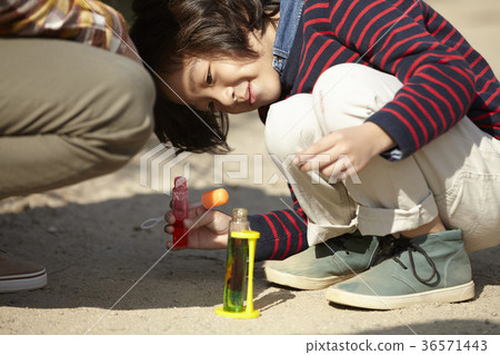 Dad, son, family, park, autumn 36571443