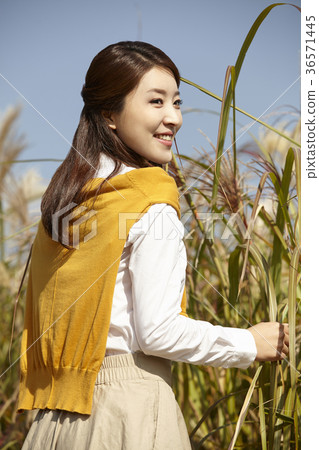 女人,秋天,公園 女人,秋天,公園 36571445