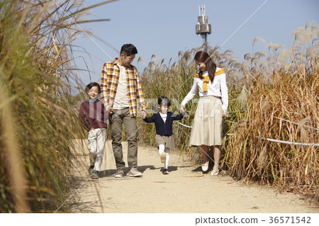 爸爸,媽媽,兒子,女兒,家庭,公園 爸爸,媽媽,兒子,女兒,家庭,公園 36571542
