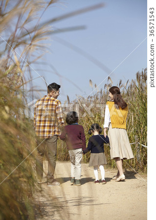 爸爸,媽媽,兒子,女兒,家庭,公園 爸爸,媽媽,兒子,女兒,家庭,公園 36571543