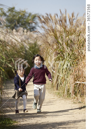 男孩，女孩，兄弟和姐妹，公園 36571568