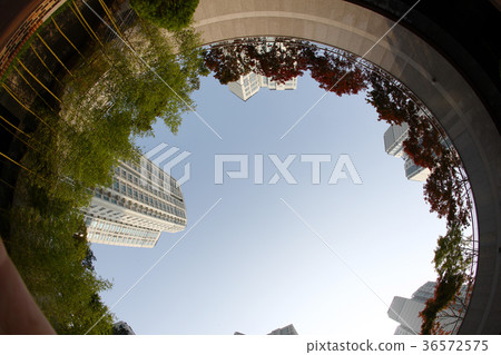 東灘，普魯吉奧 36572575