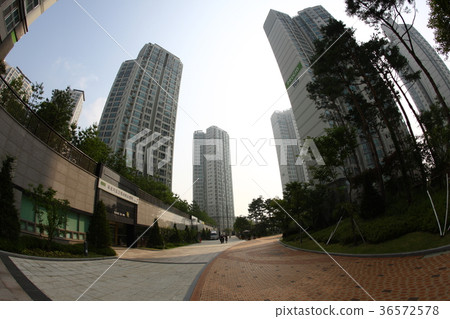 東灘，普魯吉奧 36572578