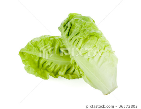 Baby Cos lettuce isolated on white background 36572802