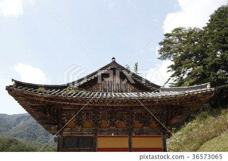 Koryo 36573065