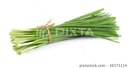 Garlic chives isolated on white background 36573114