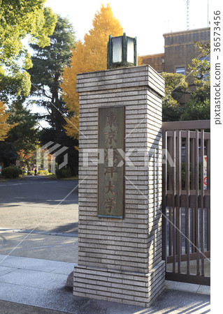 東京海洋大學 36573456