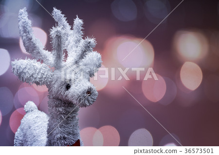 Reindeer standing in winter christmas 36573501