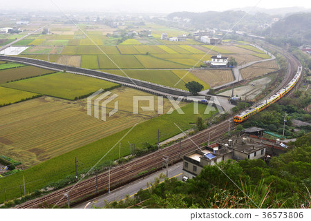 亞洲,台灣,苗栗縣,造橋鄉,稻田,農田,農業,鐵道,鐵路,火車 36573806