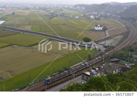 亞洲,台灣,苗栗縣,造橋鄉,稻田,農田,農業,鐵道,鐵路,火車 36573807