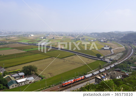亞洲,台灣,苗栗縣,造橋鄉,稻田,農田,農業,鐵道,鐵路,火車 36573810