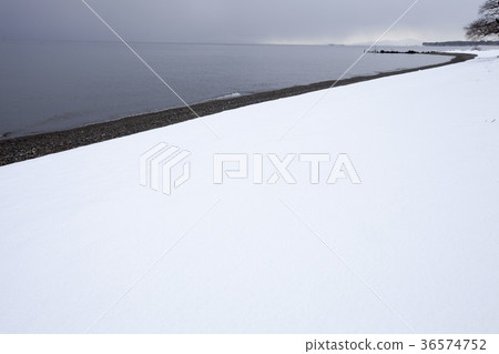 冬天是琵琶湖的岸邊,沙島是白色的高島市的海岸。 冬天是琵琶湖的岸邊,沙島是白色的高島市的海岸。 36574752