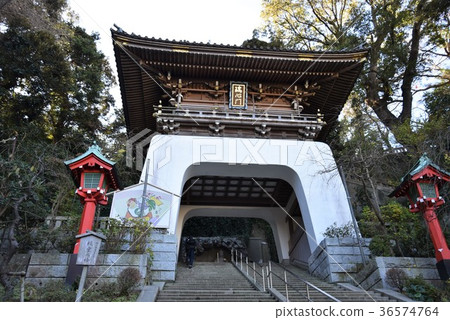 Enoshima Shrine 36574764